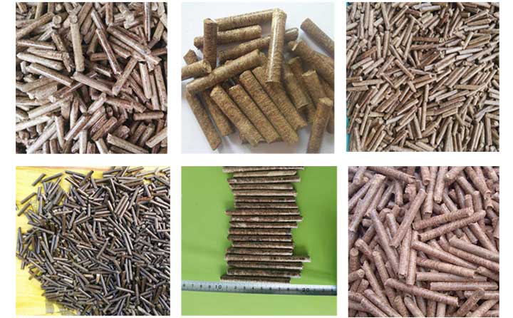 平模顆粒機(jī)壓出顆粒機(jī)實(shí)拍圖 平模顆粒機(jī)壓出顆粒機(jī)實(shí)拍圖