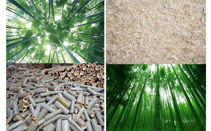 木屑顆粒機設備的發展會越來越好 木屑顆粒機設備的發展會越來越好