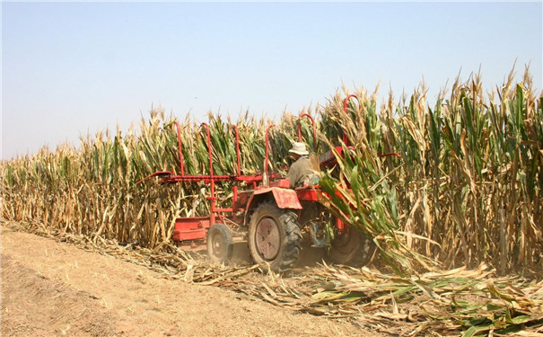 生物質(zhì)顆粒機設備成型燃料研究現(xiàn)狀及進展 生物質(zhì)顆粒機設備成型燃料研究現(xiàn)狀及進展