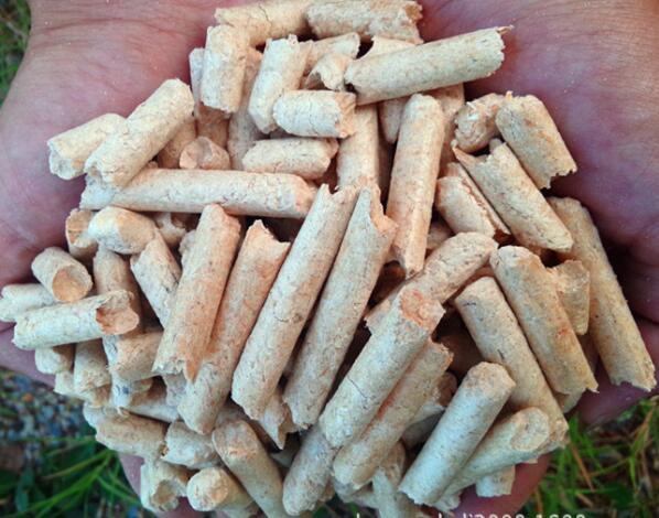 生物質(zhì)燃料顆粒機設備 生物質(zhì)燃料顆粒機設備