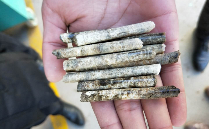 木屑顆粒機壓制出的含水率是0的顆粒.jpg 木屑顆粒機壓制出的含水率是0的顆粒.jpg