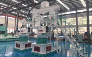 木屑顆粒機多少錢一臺?建顆粒廠大約多少錢？