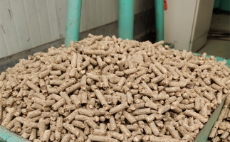 在燃燒時，水分大的生物質顆粒會出現哪些問題？