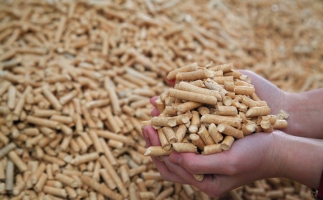 鋸末顆粒機(jī)生物質(zhì)顆粒，你需要知道的常識(shí)問題