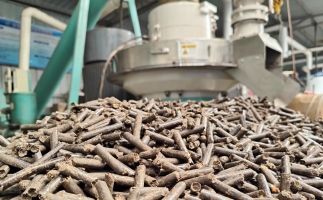 村里的廢木頭 農(nóng)作物秸稈怎么辦？有木屑顆粒機，好解決